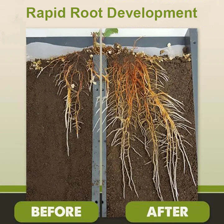 2+1 Free | Faster Plant Recovery